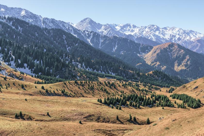 grassy plains and mountains